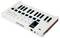 Ein weißes MIDI-Keyboard mit 25 Tasten und acht beleuchteten Pads. Nutzung für Musikproduktion und Soundsteuerung.