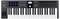 Ein MIDI-Controller mit 32 Tasten, acht Pads, neun Fadern und verschiedenen Steuerelementen. Zentraler Bildschirm zeigt 'Scene.'
