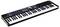 Ein schwarzes MIDI-Keyboard mit 61 Tasten, blauen Pads, Drehreglern und einem kleinen Display, geeignet für Musikproduktion.