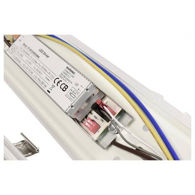Ein LED-Treiber-Modul mit mehreren Kabeln ist auf einer weißen Kunststoffoberfläche montiert.