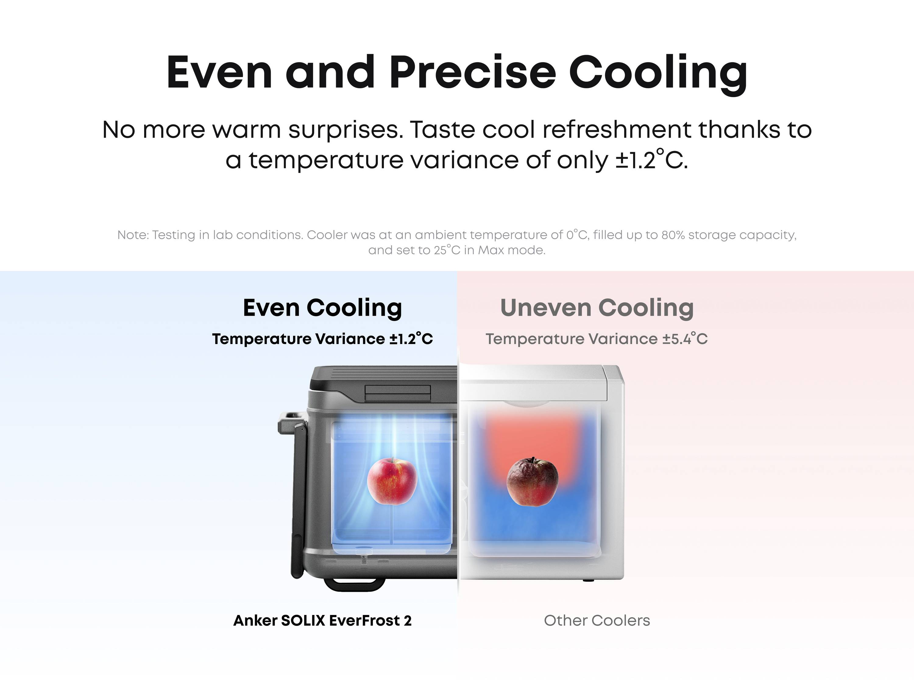 Anker SOLIX EverFrost 2 Akku-Kühlbox EEK: B (A - G) 40 l -20°C bis 20 °C-25