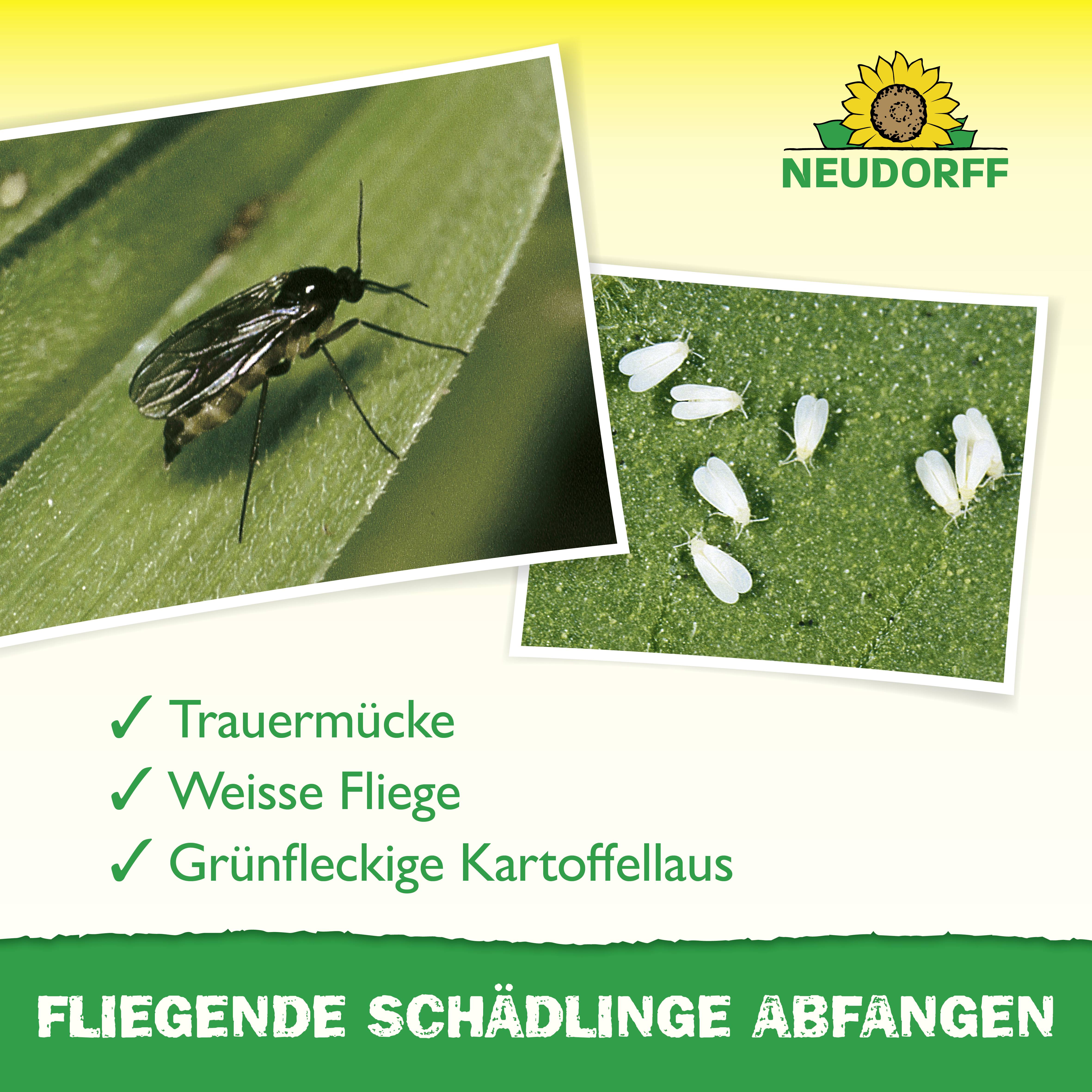 Neudorff 00318 Gelb-Sticker 10 St.-3