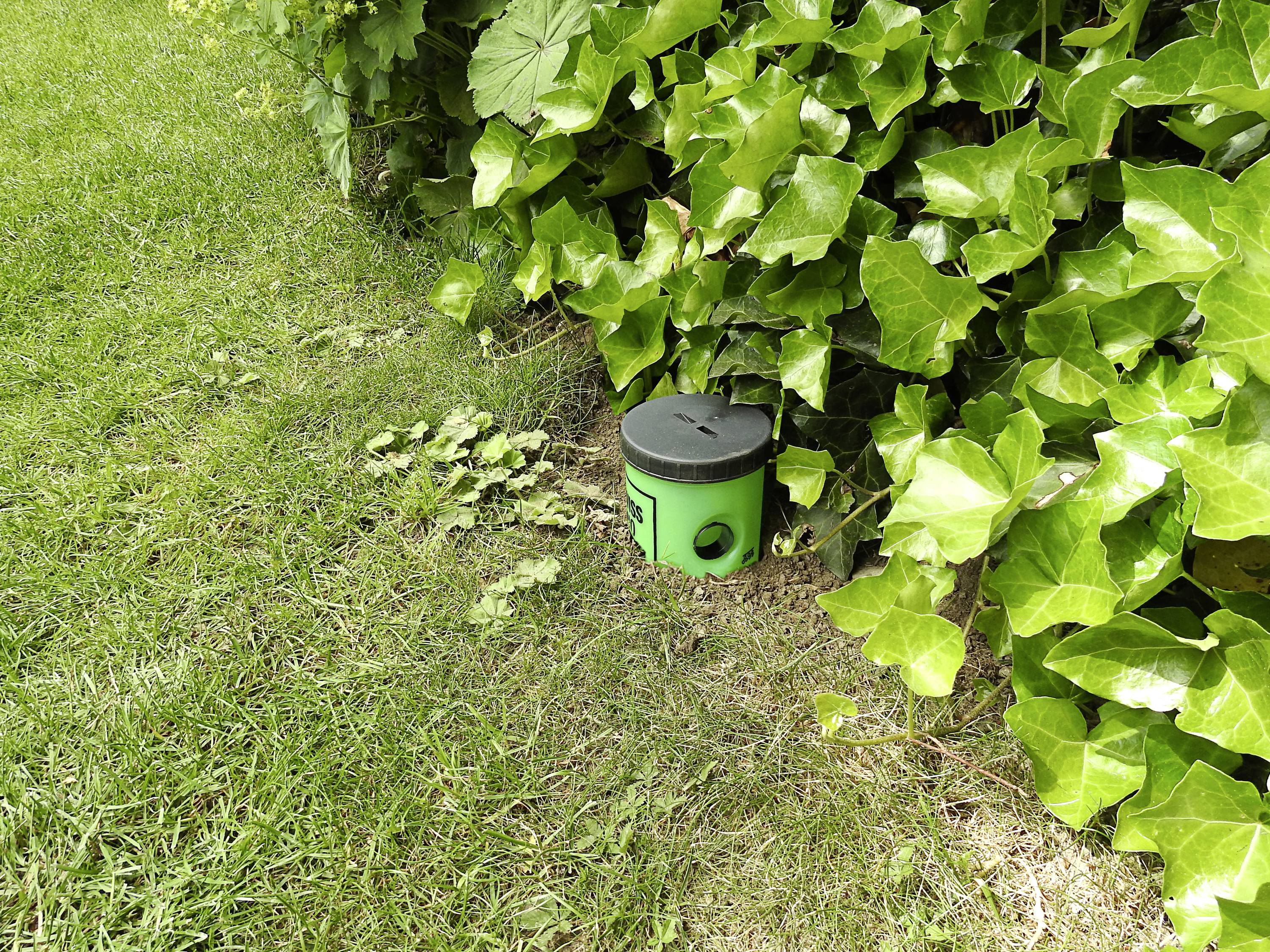 Swissinno Schneckenfalle Schneckenfalle Funktionsart Lockstoff 1 St.-2