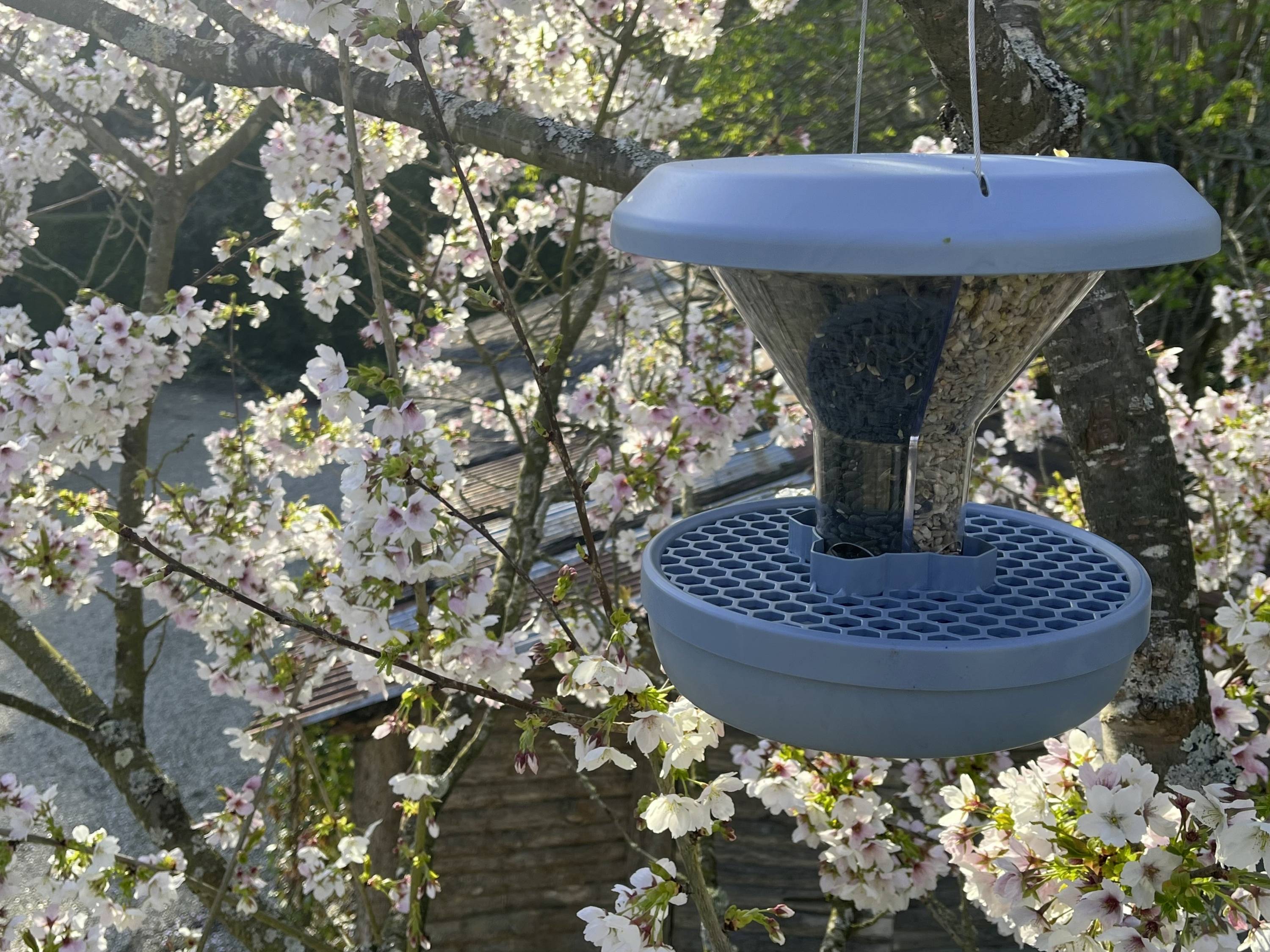 Swissinno Futtersilo Davos Hellblau 750 g Vogel Hellblau 1 St. 1 840 001-6