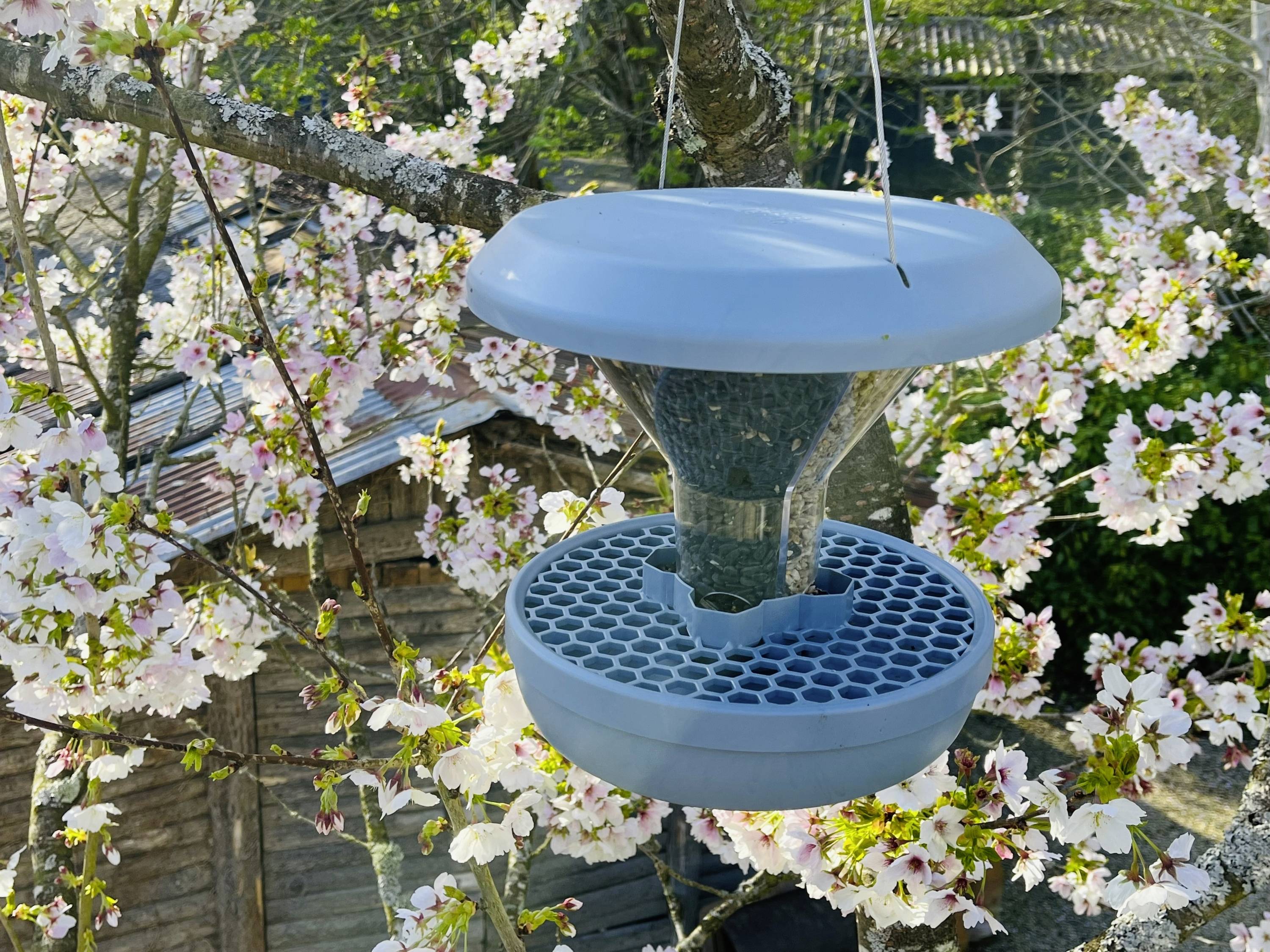 Swissinno Futtersilo Davos Hellblau 750 g Vogel Hellblau 1 St. 1 840 001-7