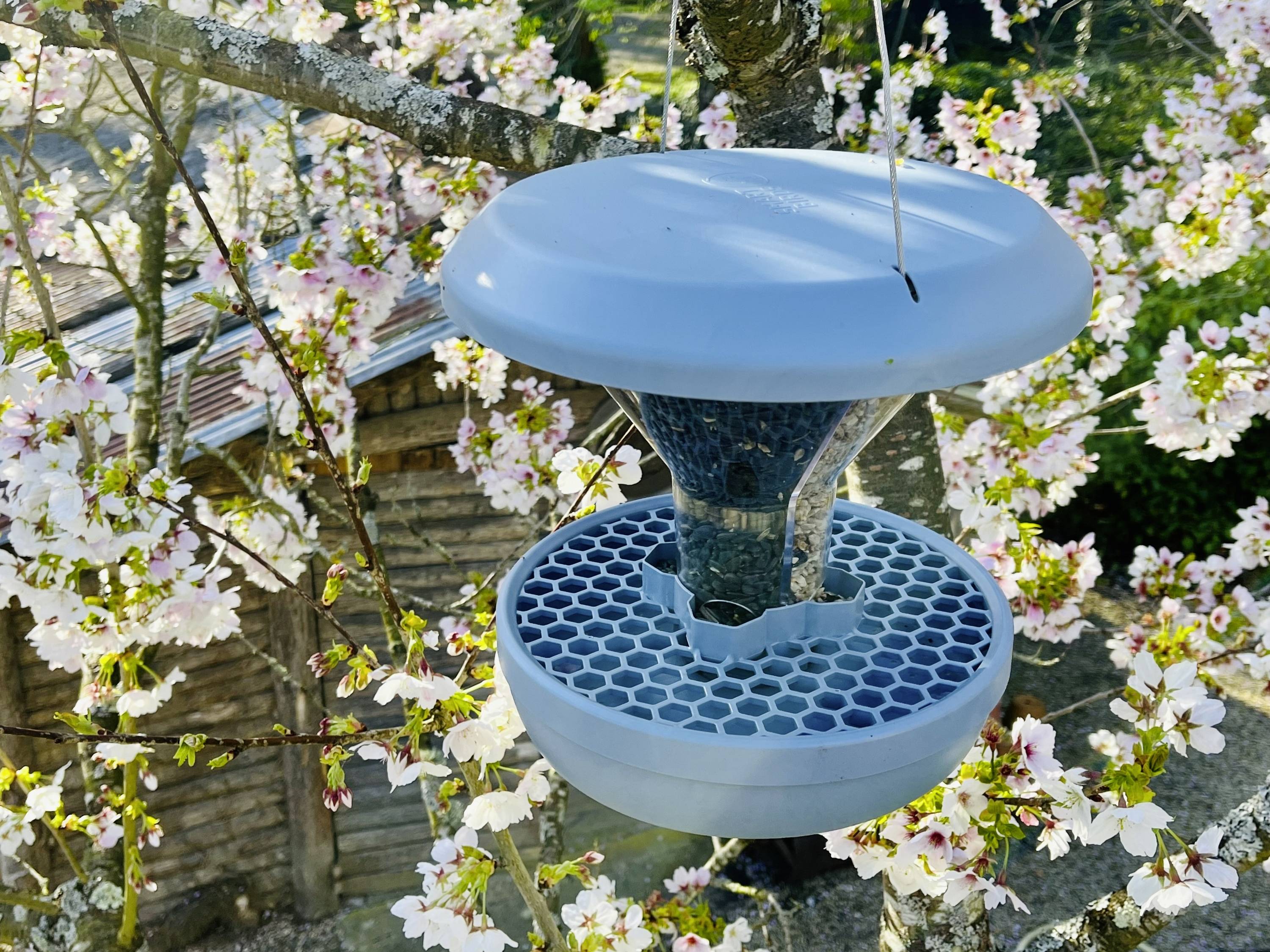 Swissinno Futtersilo Davos Hellblau 750 g Vogel Hellblau 1 St. 1 840 001-8