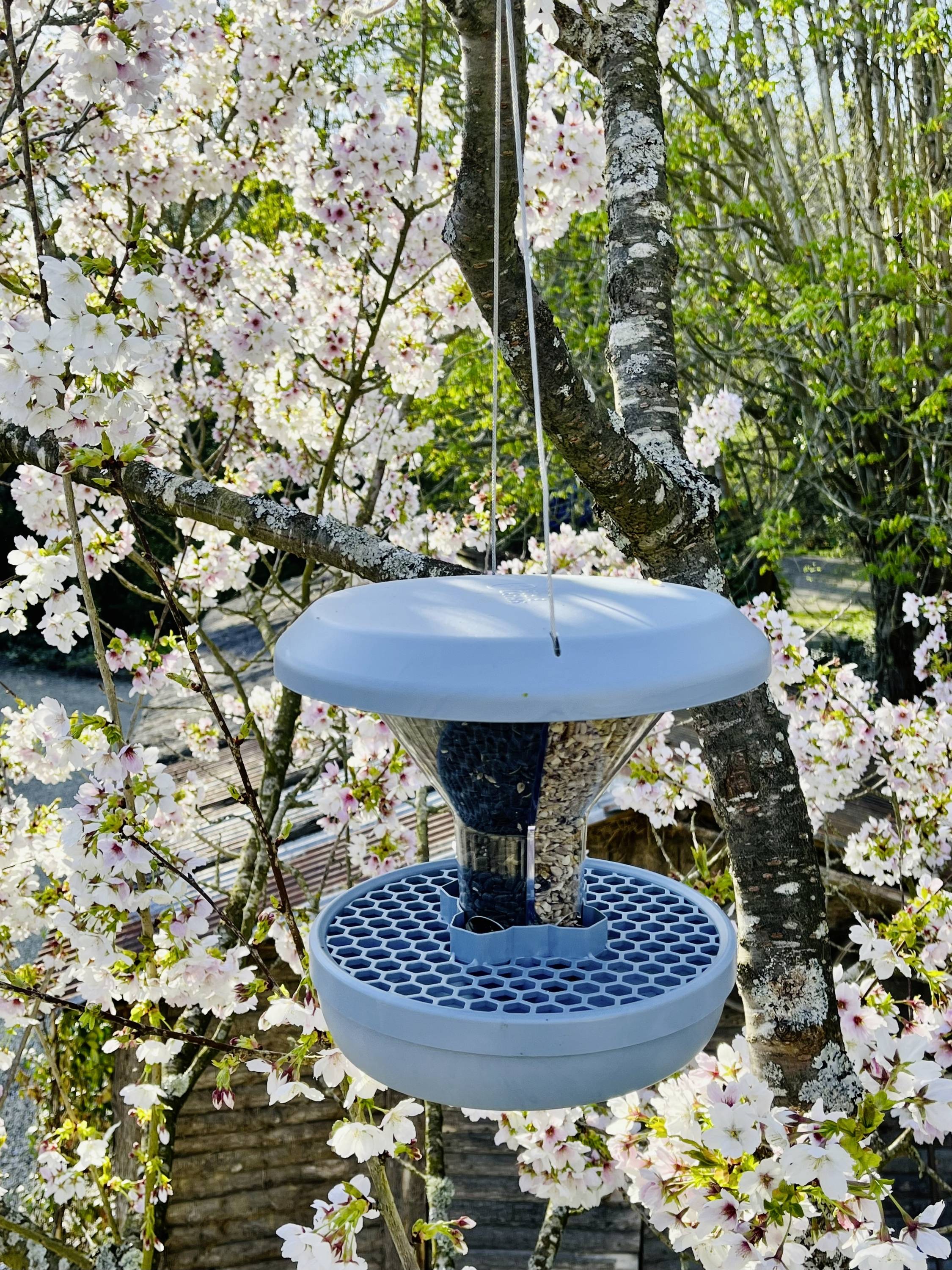 Swissinno Futtersilo Davos Hellblau 750 g Vogel Hellblau 1 St. 1 840 001-9