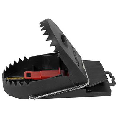 Eine schwarze Kunststoff-Mausefalle mit scharfen Zähnen, einem roten Köderhalter in der Mitte und einem Metallfedermechanismus, dargestellt in offener Position.