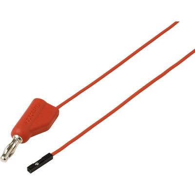 Ein roter Bananenstecker, der mit einem roten Kabel mit einem schwarzen Anschluss am Ende verbunden ist, wird für elektrische Verbindungen oder Tests verwendet.
