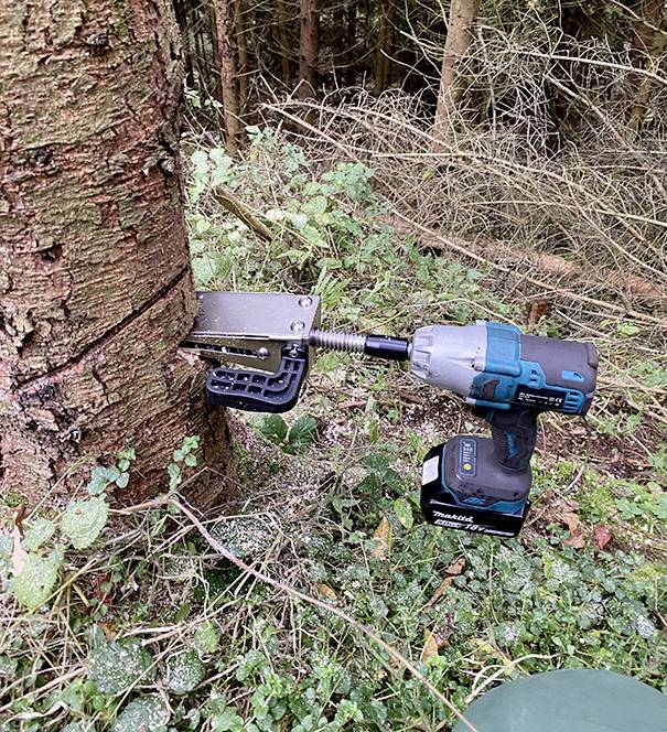 Eine elektrische Bohrmaschine, die an einem Baum befestigt ist und ein Gerät betreibt, das in den Baumstamm schneidet. Aufgenommen in einem bewaldeten Gebiet mit umgebender Vegetation.