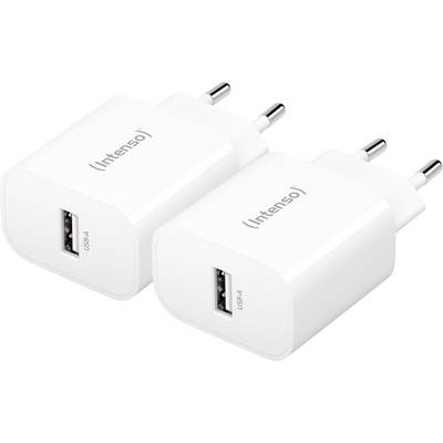 Intenso W5A white double pack USB-C® Adapter 5 W USB-A Weiß Steckdose mit Europa-Adapter-0