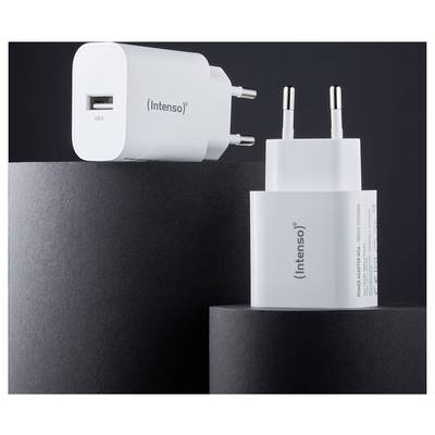 Intenso W5A white double pack USB-C® Adapter 5 W USB-A Weiß Steckdose mit Europa-Adapter-5