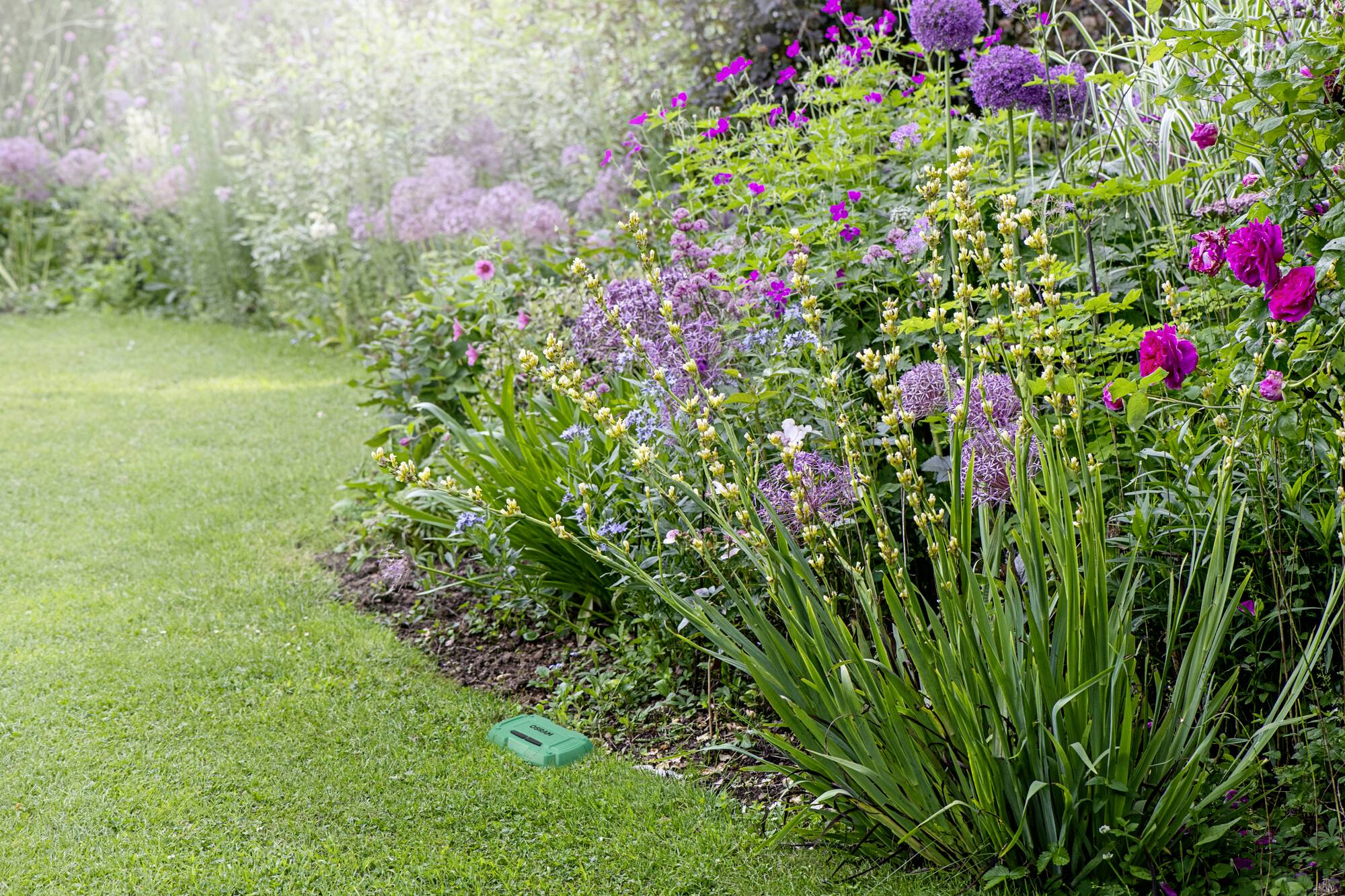 OSRAM HOMELIGHTING Smart+ Funk-Bewässerungssteuerung-3