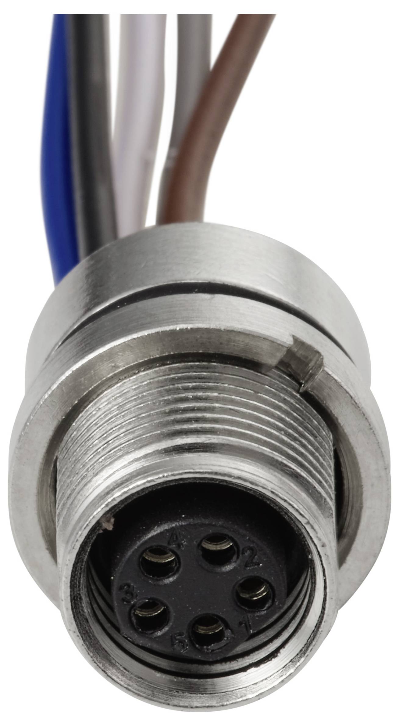 Eine Nahaufnahme eines metallischen, kreisförmigen elektrischen Steckverbinders mit fünf Buchsenlöchern und mehreren farbigen Kabeln, die aus der Rückseite herausragen.