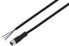 TRU COMPONENTS TC-13751936 Anschlussleitung M8 x 1 Buchse, gerade 5 m Polzahl Sensoren: 3 1 St.