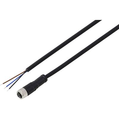 Ein schwarzes Kabel mit einem Anschluss an einem Ende und vier freigelegten Drähten am anderen Ende: schwarz, blau, weiß und braun.