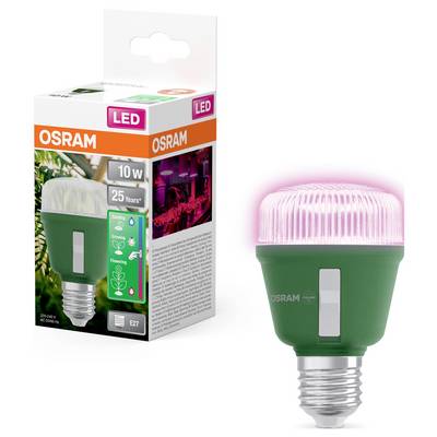 OSRAM HOMELIGHTING 4058075845787 Pflanzenlampe E27 10 W 1 St.-1