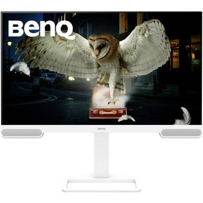 Eule landet auf Koffer auf Straße bei Nacht, mit Leuchteffekt. BenQ-Logo oben links. Monitoranzeige betont lebendige Bilddarstellung.