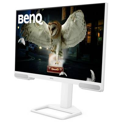 Ein BenQ-Monitor, der eine Eule mit ausgebreiteten Flügeln zeigt, die einen Koffer trägt, vor einer dunkel beleuchteten Straßenszene im Hintergrund.