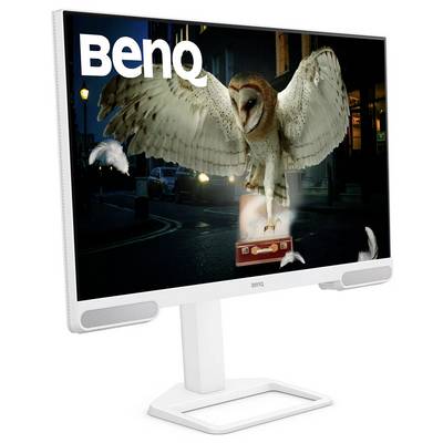 Ein Monitor zeigt eine Eule mit ausgebreiteten Flügeln, die über einem Koffer fliegt, mit Federn, die umherschweben. Der Markenname 'BenQ' ist auf dem Bildschirm sichtbar.