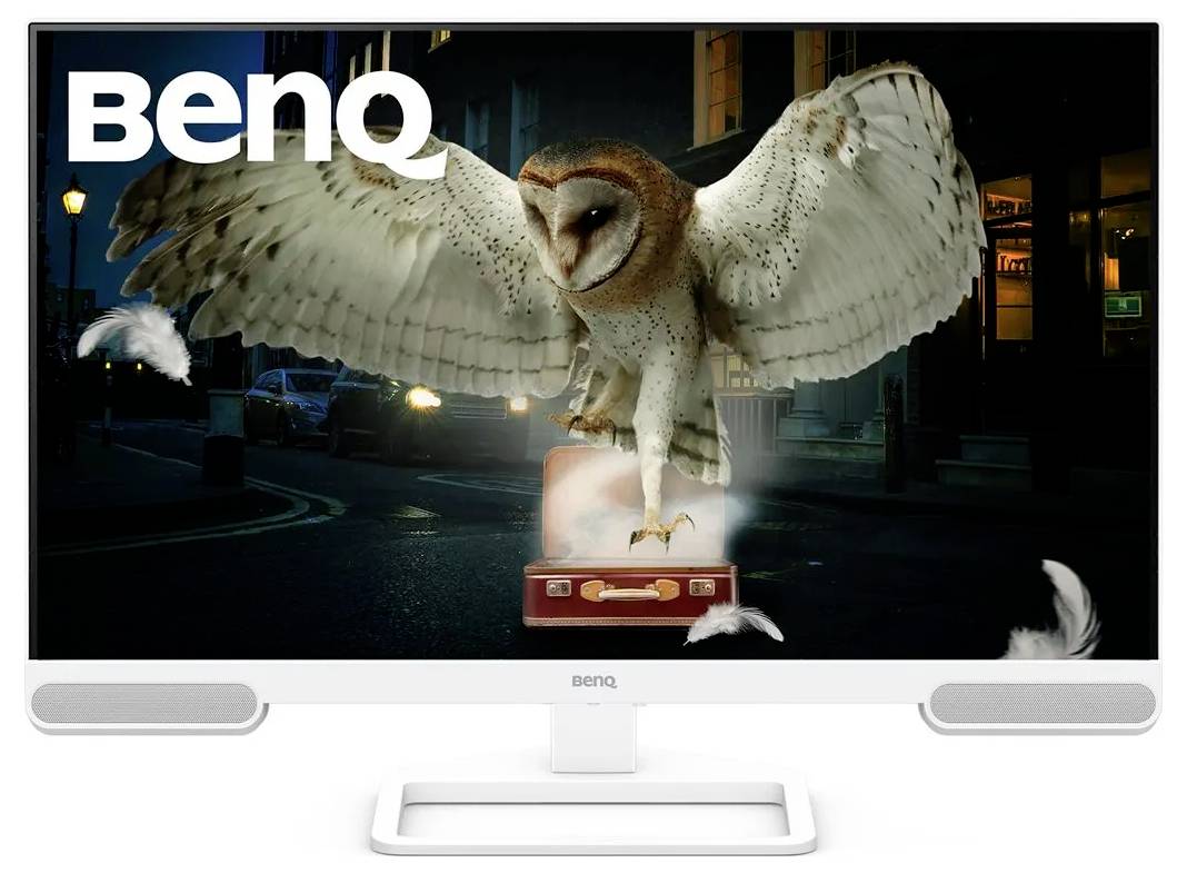 Eine Eule landet bei Nacht auf einem Koffer mit weit ausgebreiteten Flügeln in einer Stadtstraße. Das BenQ-Logo ist oben links angezeigt.