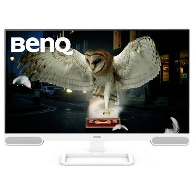Eine Eule landet bei Nacht auf einem Koffer mit weit ausgebreiteten Flügeln in einer Stadtstraße. Das BenQ-Logo ist oben links angezeigt.