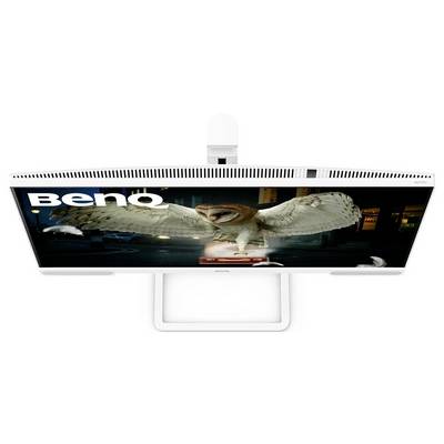 Ein Breitbild-BenQ-Monitor zeigt eine Eule im Flug, mit ausgebreiteten Flügeln vor einem dunkel beleuchteten Hintergrund. Der Markenname 'BenQ' ist sichtbar.
