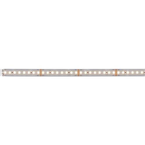 Paulmann MaxLED 1000 Erweiterung 71245 LED-Streifen mit Stecker 24 V/DC 1 m Warmweiß 1 St.