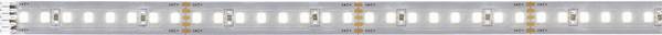 Paulmann MaxLED 1000 71250 LED-Streifen 24 V/DC 1 m Neutralweiß 1 St.