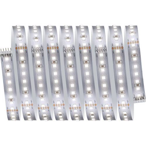 Paulmann MaxLED 1000 Stripe 71249 LED-Streifen 2.5 m Neutralweiß 1 St.