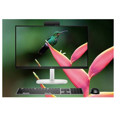 Ein Computermonitor, der ein leuchtendes Bild eines grünen Kolibris zeigt, der auf einer bunten Blume sitzt, mit einer Tastatur und einer Maus davor.