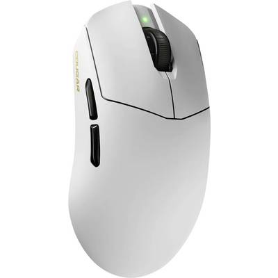 Eine schlanke weiße kabellose Computermaus mit einem Scrollrad und zwei seitlichen Tasten. Der Markenname ist auf der Seite aufgedruckt.