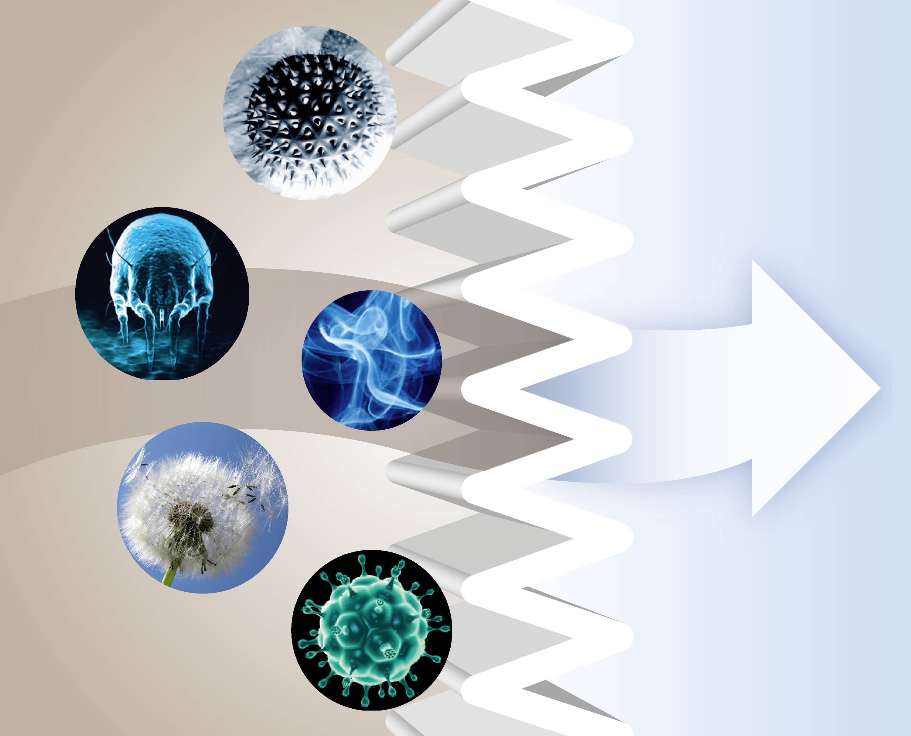 Bosch UltraAllergy Hygienefilter für Bosch Staubsauger BGL8,BGB8,BGL7BGB7,BSGL5,BGL5S BBZ154UF Filter-Austausch-Kit-6