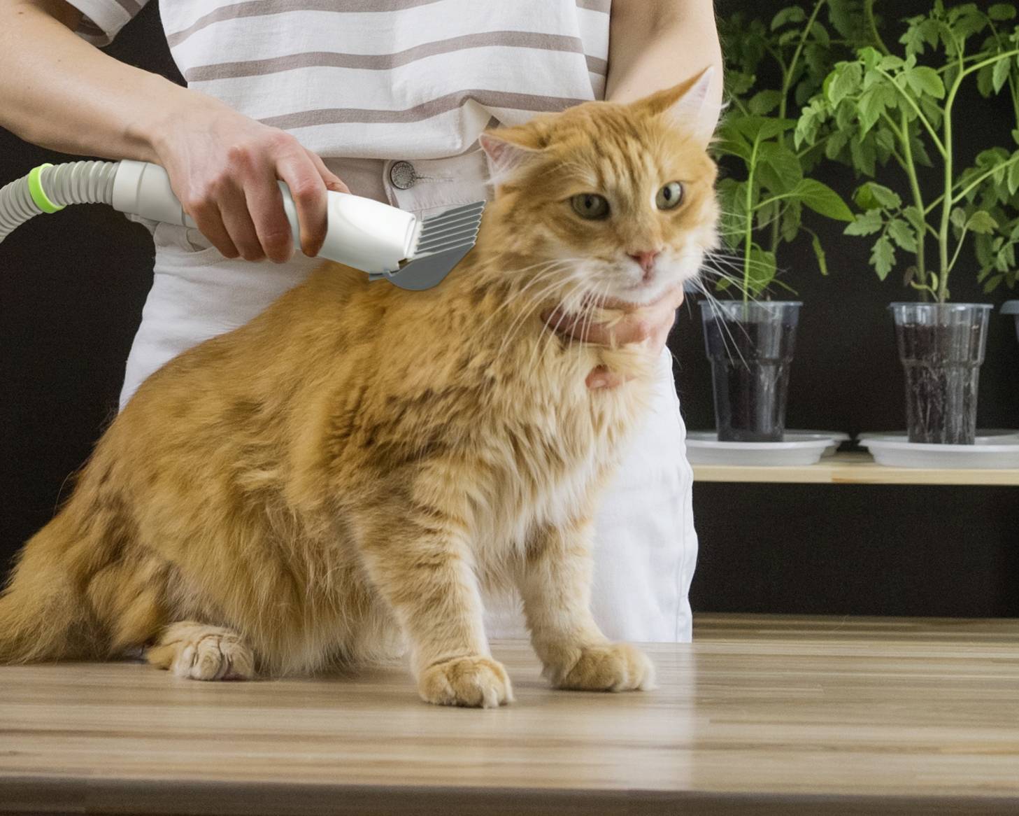 Lifenaxx LX-052 Haustier-Pflegeset Weiß, Grün 1 St.-6