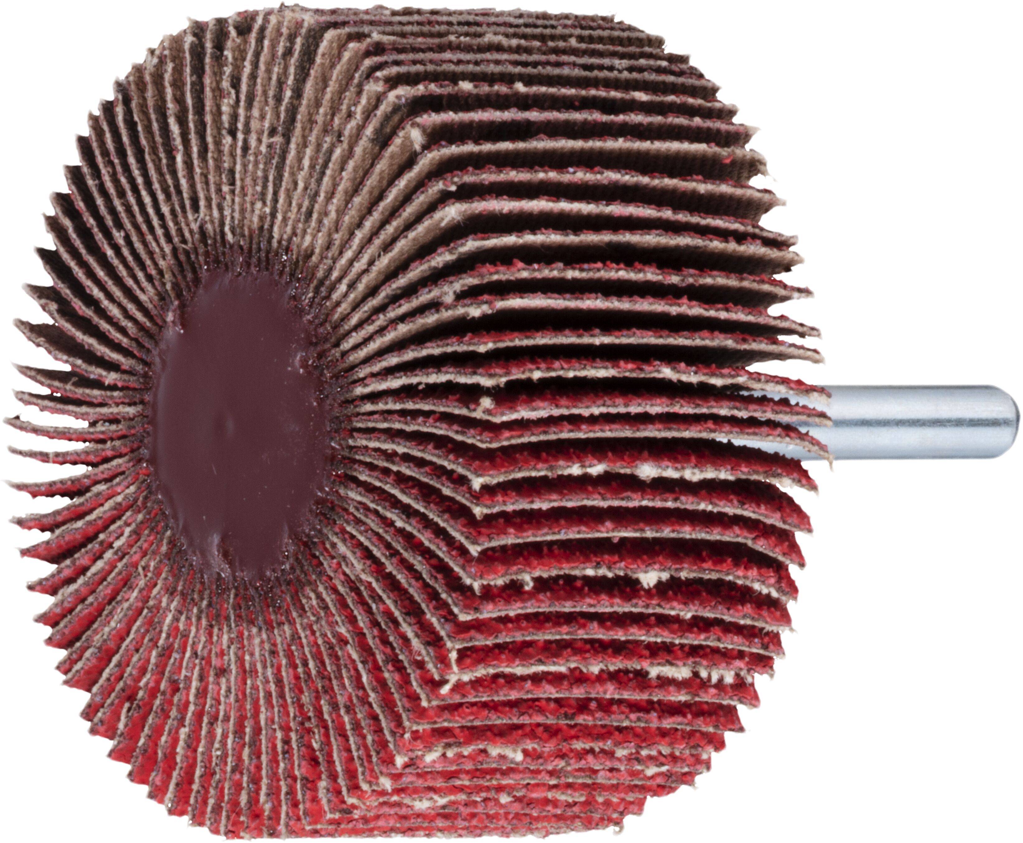 LUKAS-ERZETT A2214040206060 Fächerschleifer SFL universal 40x20 mm Schaft 6 mm Ceramic Korn 60 10 St.