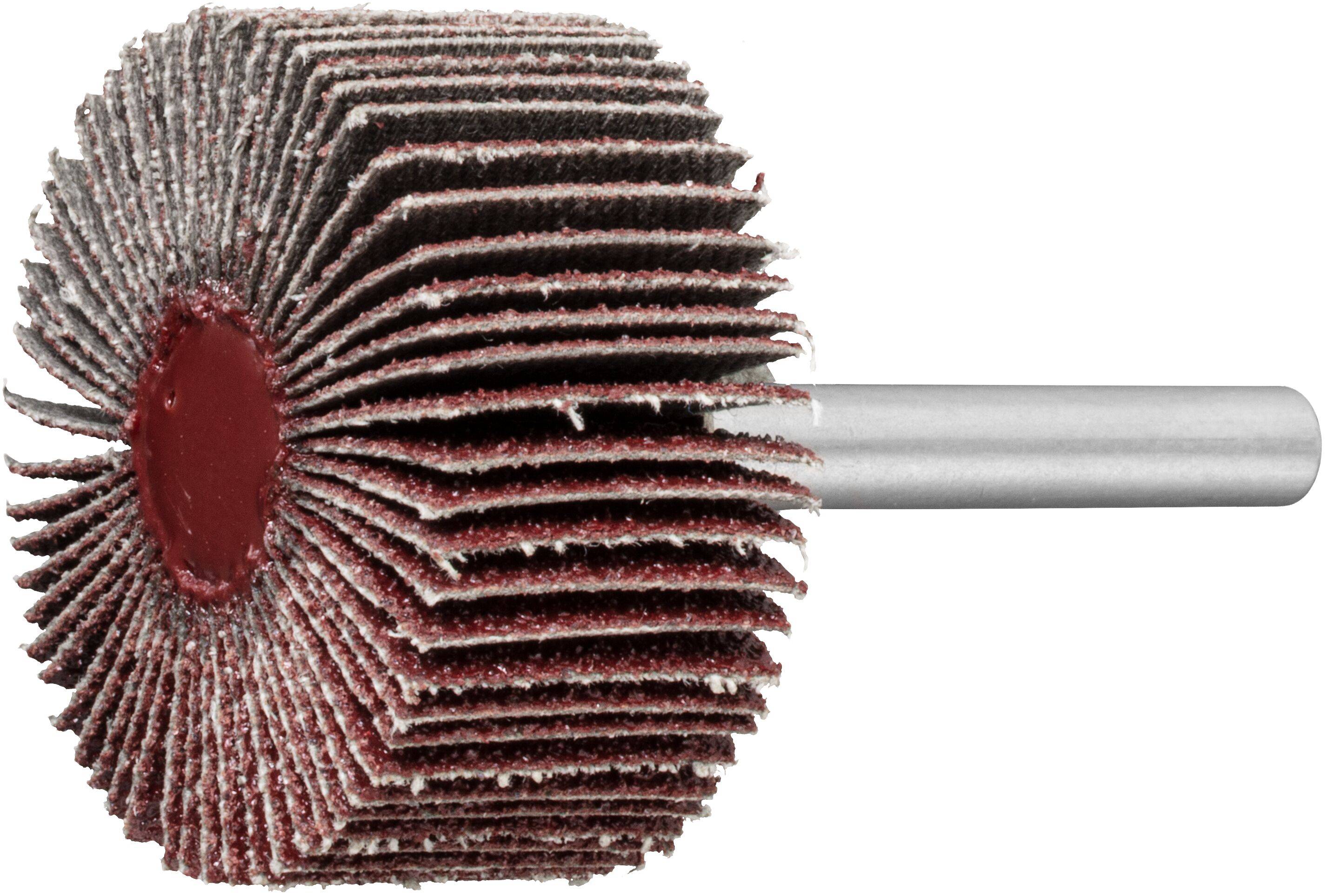 LUKAS-ERZETT A2230060306080 Fächerschleifer SFL universal 60x30 mm Schaft 6 mm Korund Korn 80   Base-X 20 St.