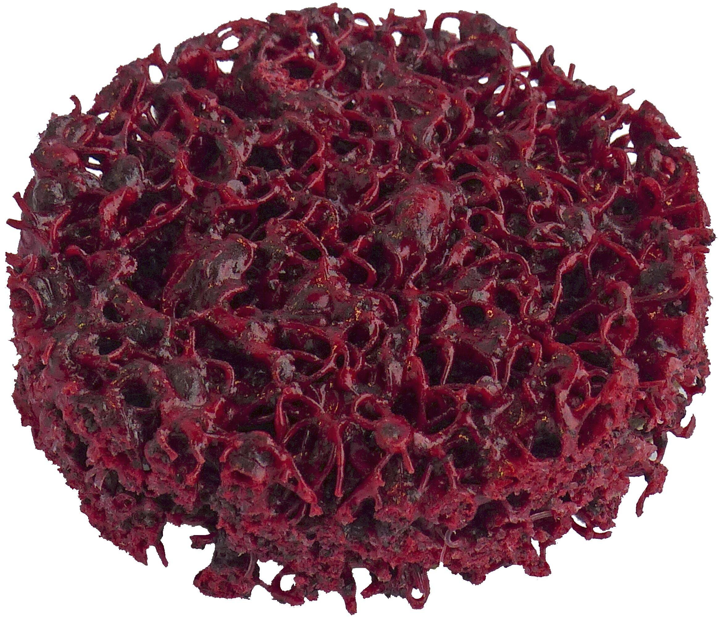 LUKAS-ERZETT A2291050002 Schleifscheiben-Set Durchmesser 50 mm 10 St.