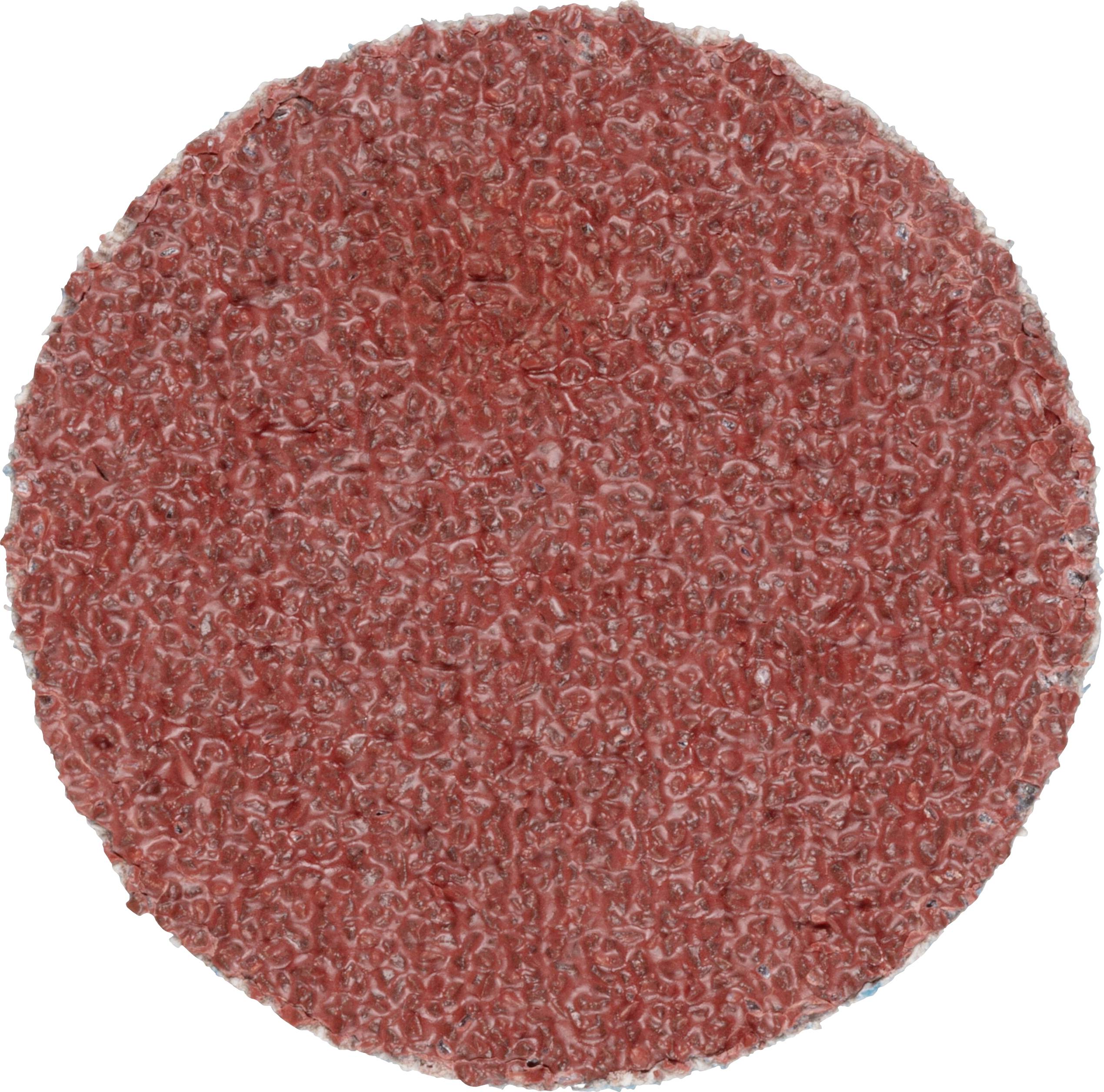 LUKAS-ERZETT PSG 038 NK 36 A33510380360458 Schleifblatt Körnung (num) 36 (Ø) 38 mm 50 St.