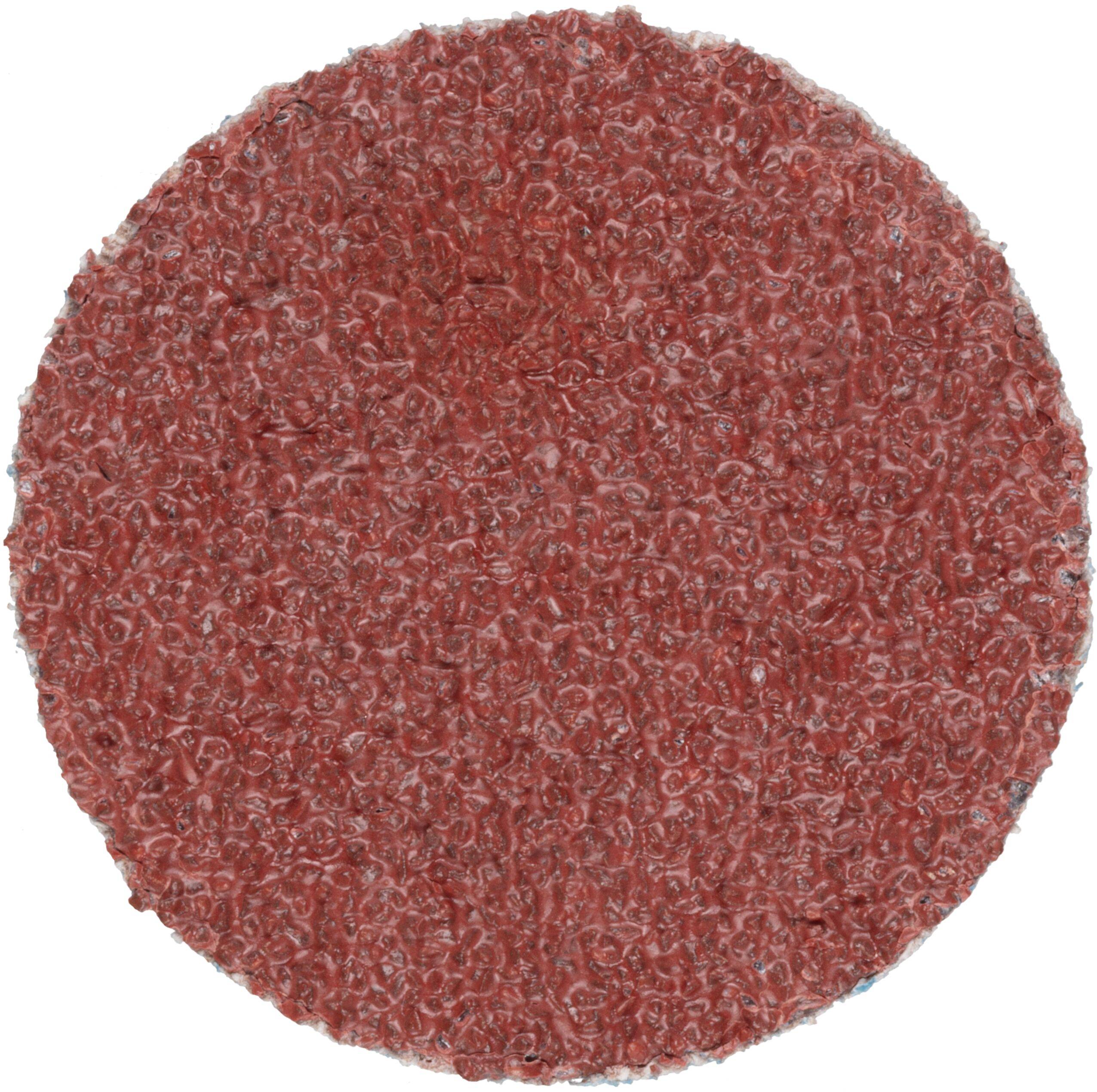 LUKAS-ERZETT PSG 075 NK 80 A33510750800458 Schleifblatt Körnung (num) 80 (Ø) 75 mm 50 St.