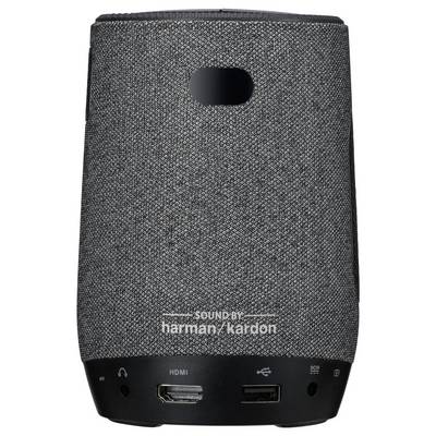 Ein grauer, zylindrischer Smart Speaker mit der Aufschrift "Sound by Harman/Kardon" auf der Vorderseite, ausgestattet mit einem Stoffbezug und verschiedenen Anschlüssen.