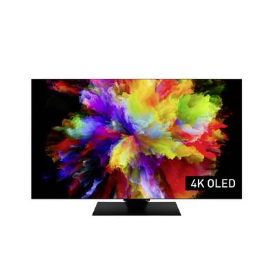 Ein lebendiger Ausbruch abstrakter, farbenfroher Muster füllt den Bildschirm eines 4K-OLED-Fernsehers.
