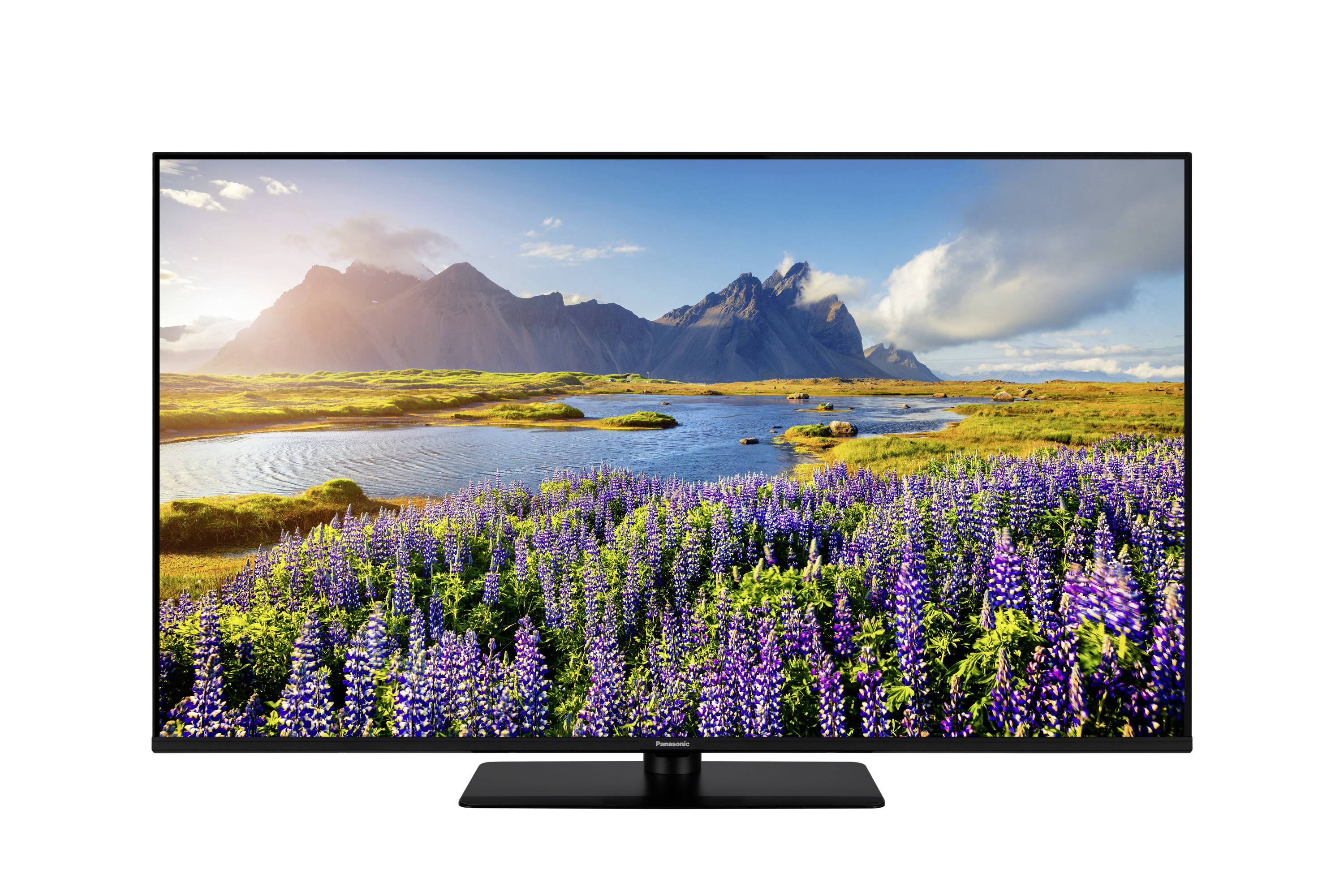 Ein Fernseher, der eine lebendige Landschaft zeigt mit einem Feld violetter Blumen im Vordergrund, einem See und Bergen unter einem blauen Himmel.