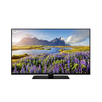 Ein Flachbildfernseher zeigt eine lebendige Landschaft mit lila Blumen, einem spiegelnden See und Bergen im Hintergrund unter einem blauen Himmel.