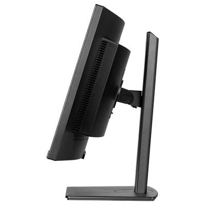 Iiyama ProLite XCB3497WQSNP-B1 LED-Monitor EEK F (A - G) 86.4 cm (34 Zoll) 3440 x 1440 Pixel 21:9 0.4 ms DisplayPort VA -5