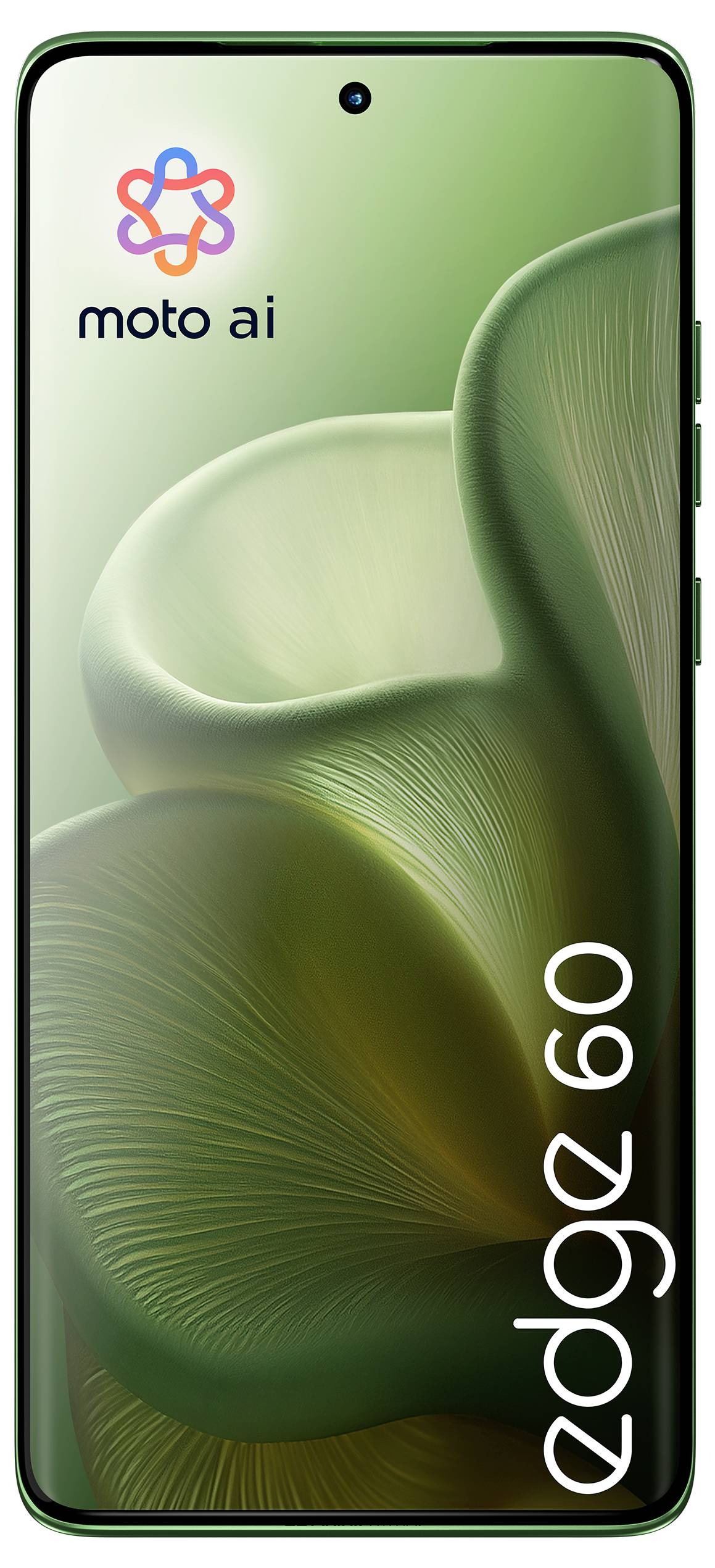 Ein Smartphone mit einem grünen abstrakten Blumendesign auf dem Bildschirm, mit dem Text 'moto ai' und 'edge 60'.