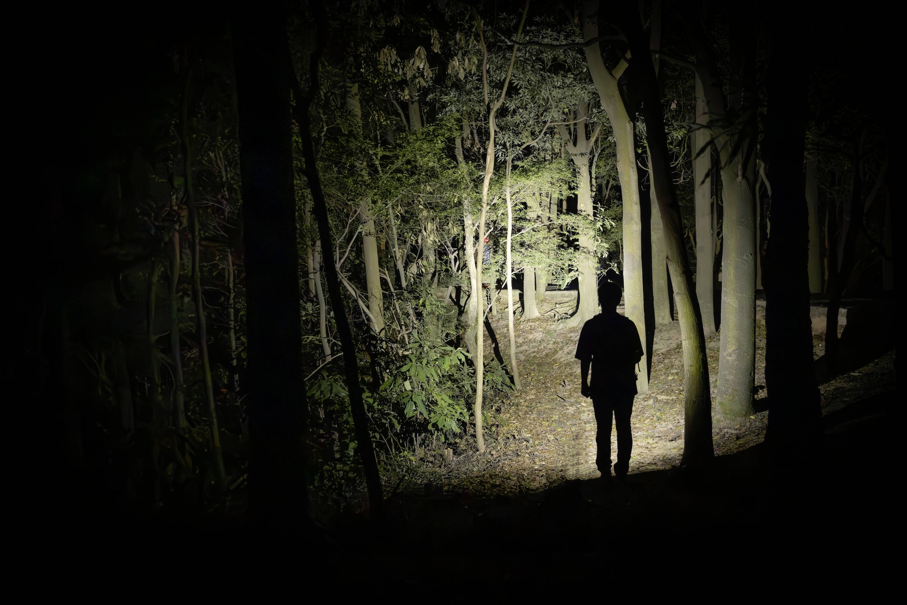Eine Person geht allein auf einem schwach beleuchteten Waldweg in der Nacht, umgeben von Bäumen, die lange Schatten werfen.