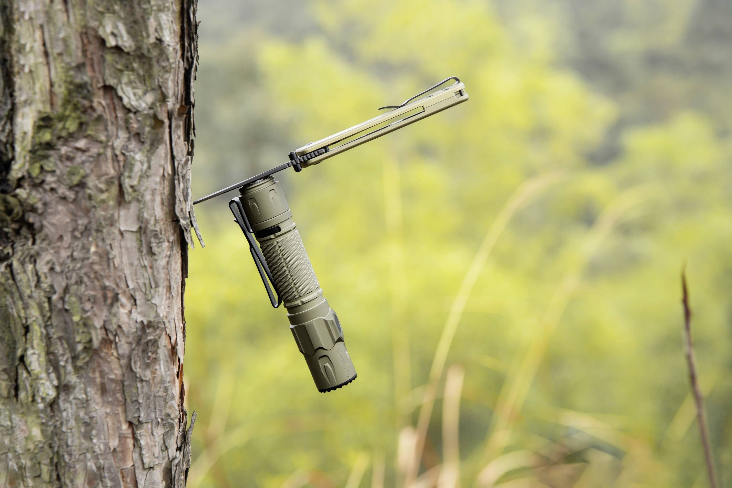 Eine grüne Taschenlampe mit einer Klammer, die an einem Baumstamm in einer Waldlandschaft befestigt ist und die Nutzung ohne Hände demonstriert.