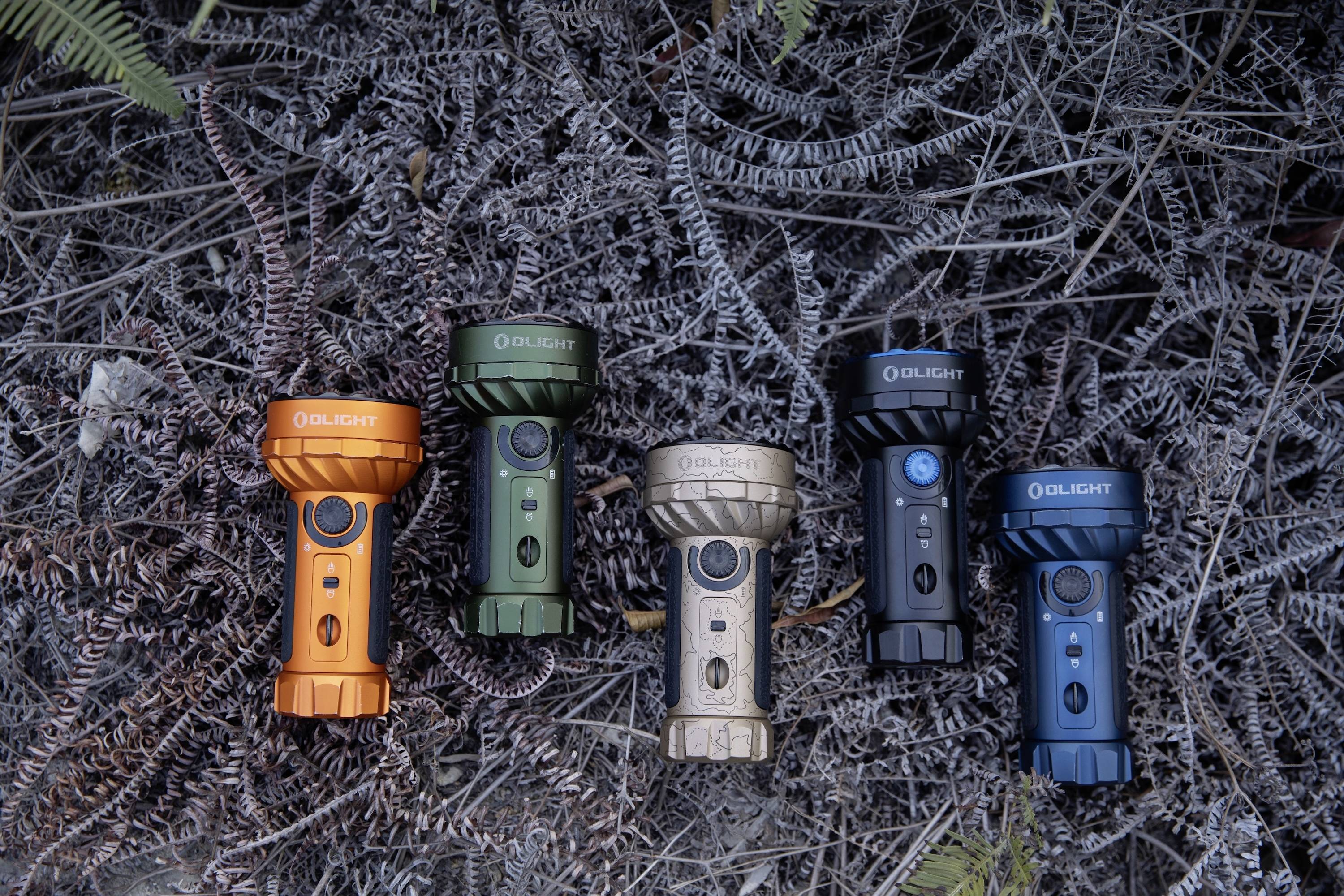 Fünf Taschenlampen in verschiedenen Farben (Orange, Grün, Beige, Schwarz, Blau) sind auf trockenen Farnblättern im Freien angeordnet.