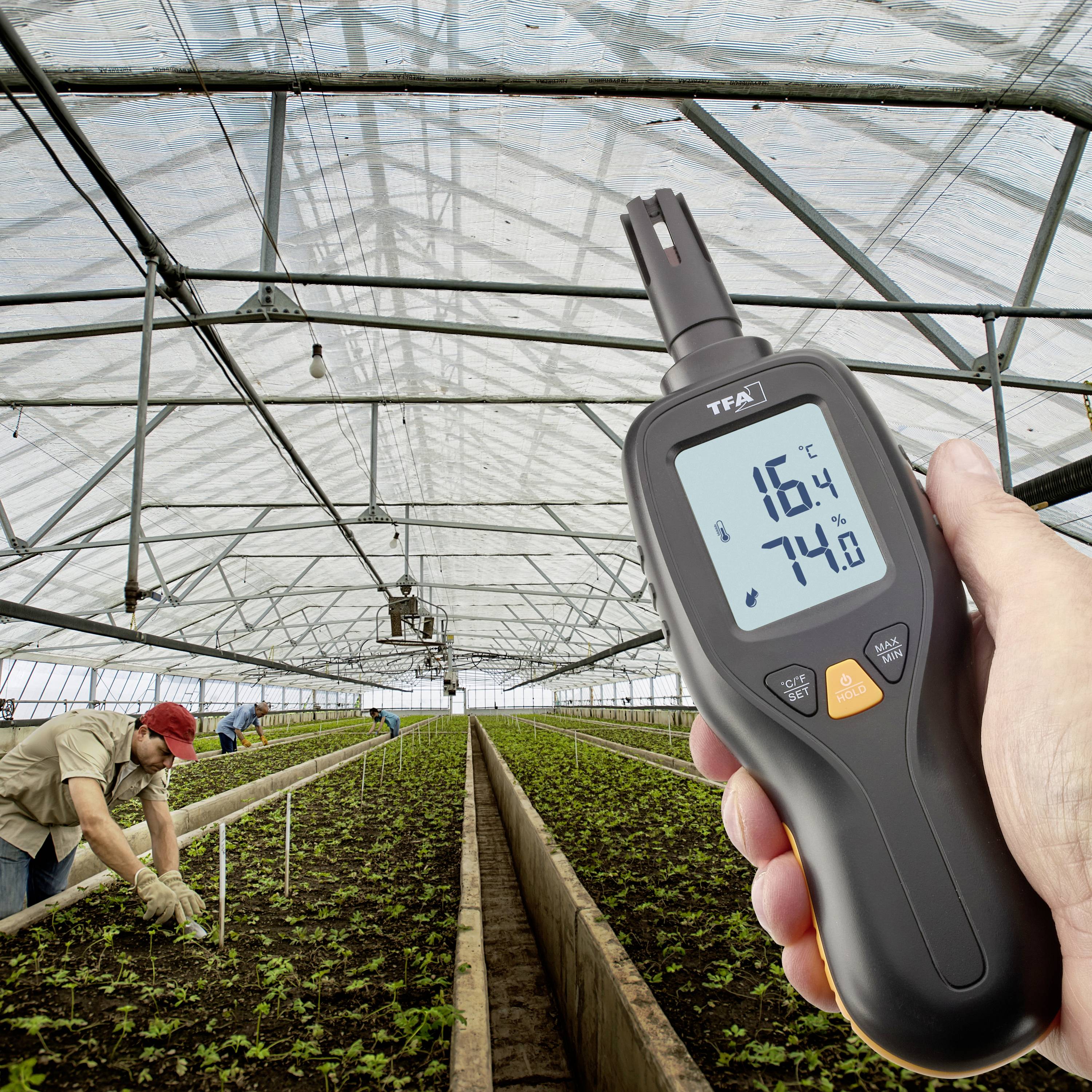 Eine Person in einem Gewächshaus pflegt Pflanzen und hält dabei einen digitalen Temperatur- und Feuchtigkeitsmesser, der Werte von 16°C und 74% Luftfeuchtigkeit anzeigt.