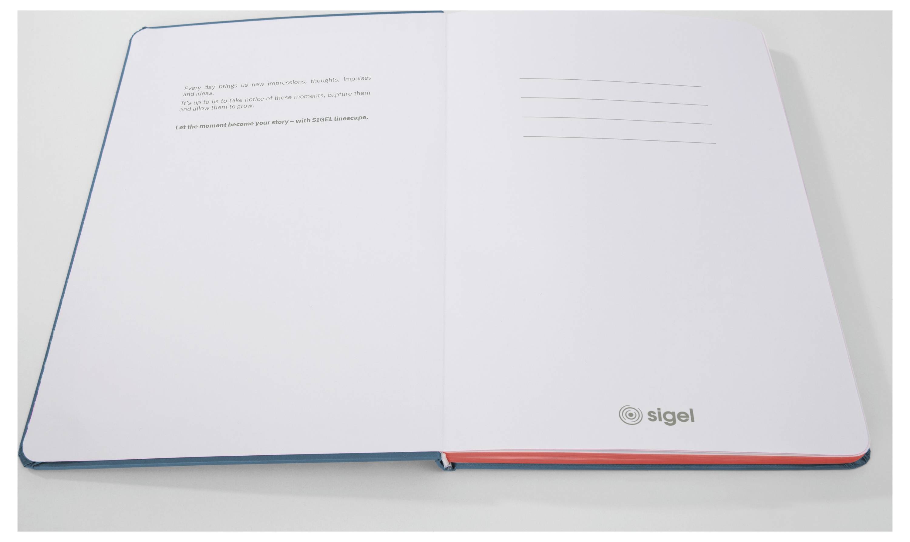 Sigel LS205 Notizbuch Linescape Hardcover DIN A5 liniert Mittelblau, Neonorange Anzahl der Blätter: 88-3